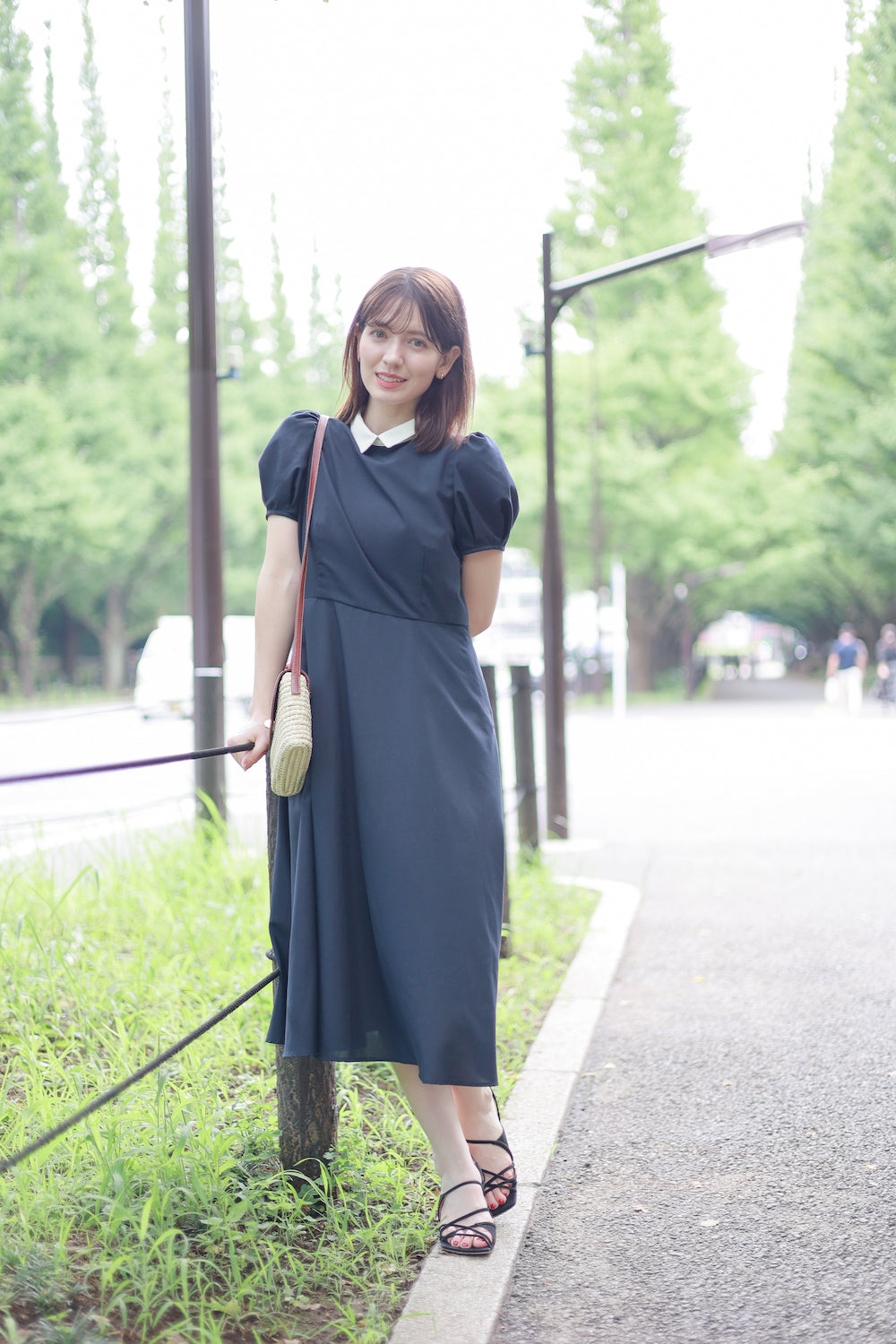 Navy Flare Dress