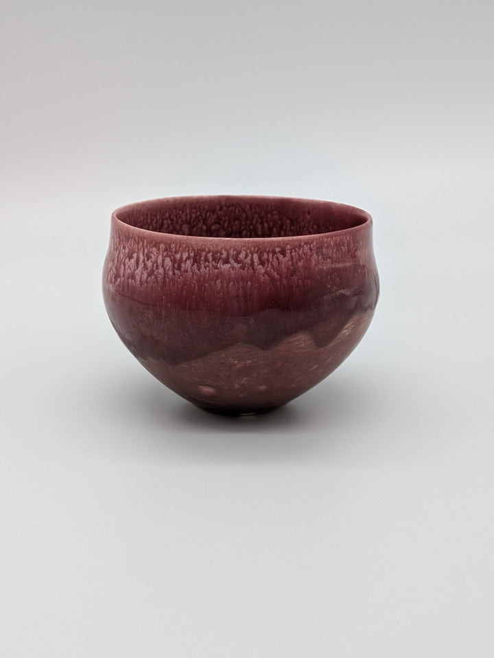 Shiren Free Cup — Ebizome