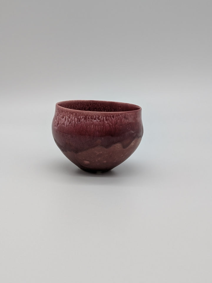 Shiren Free Cup — Ebizome