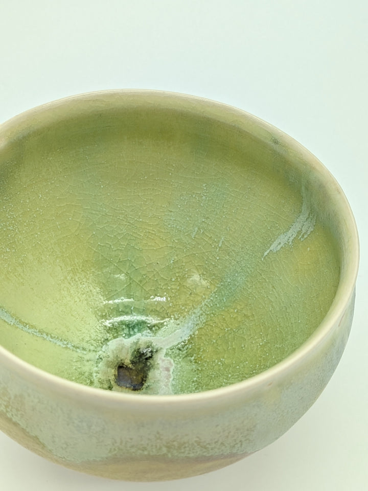 Shiren Free Cup — Wakakusa